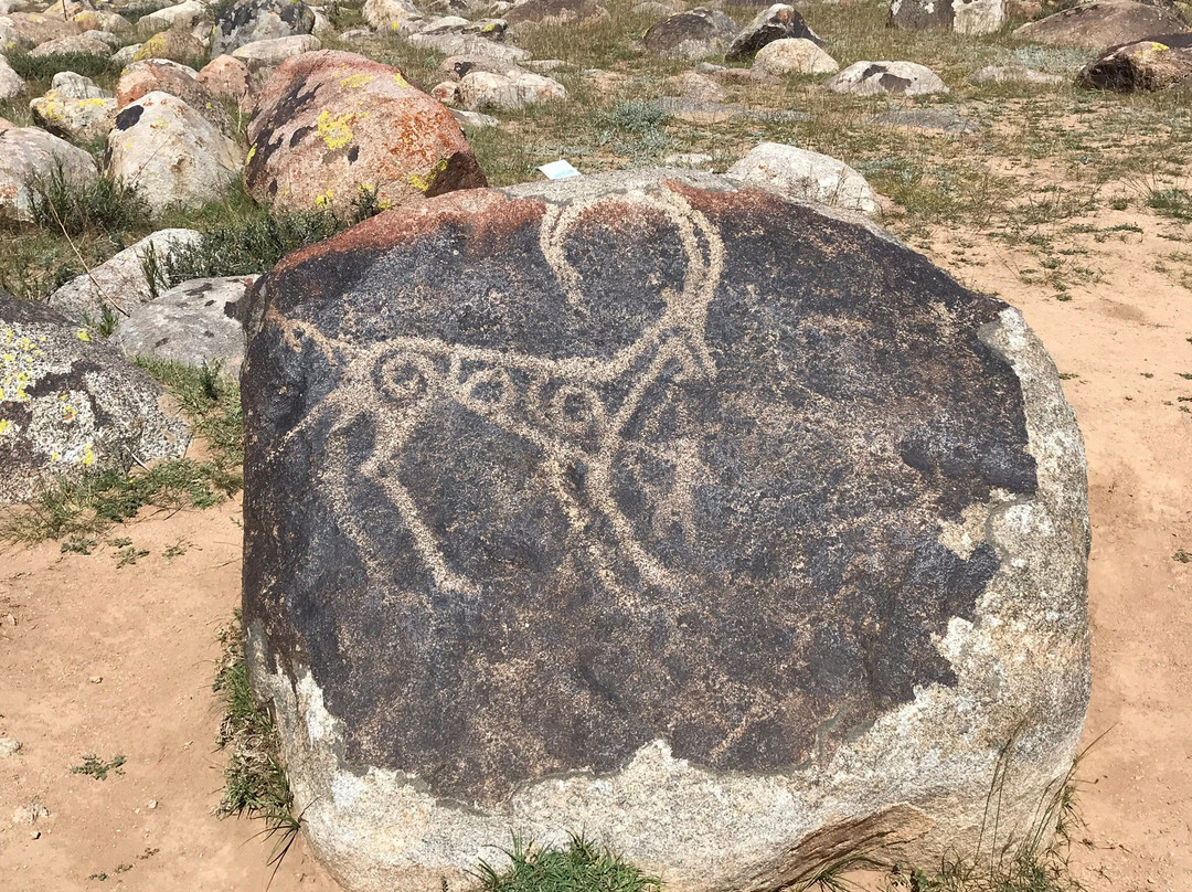 Museum of Petroglyphs景点图片