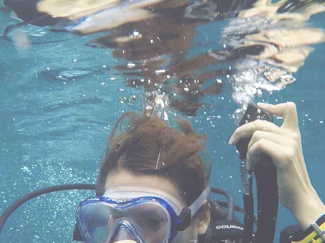 Ocean Sunshine Scuba-刁曼岛必去景点