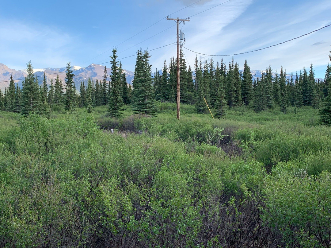 Aspen Haus Bed and Breakfast主图