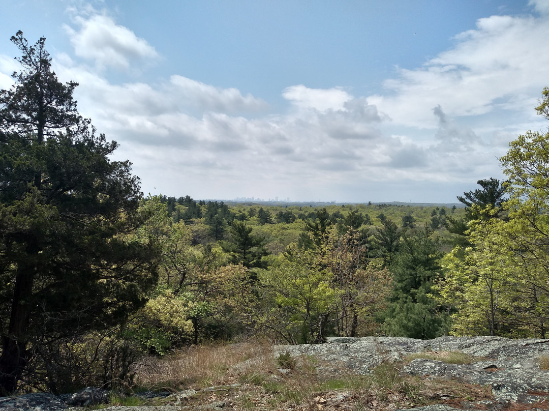 Lynn Woods-Lynn必去景点