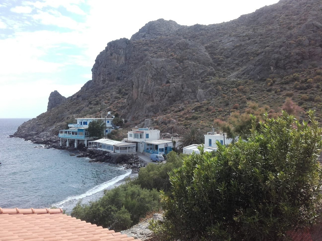 Galini Studios Lentas主图