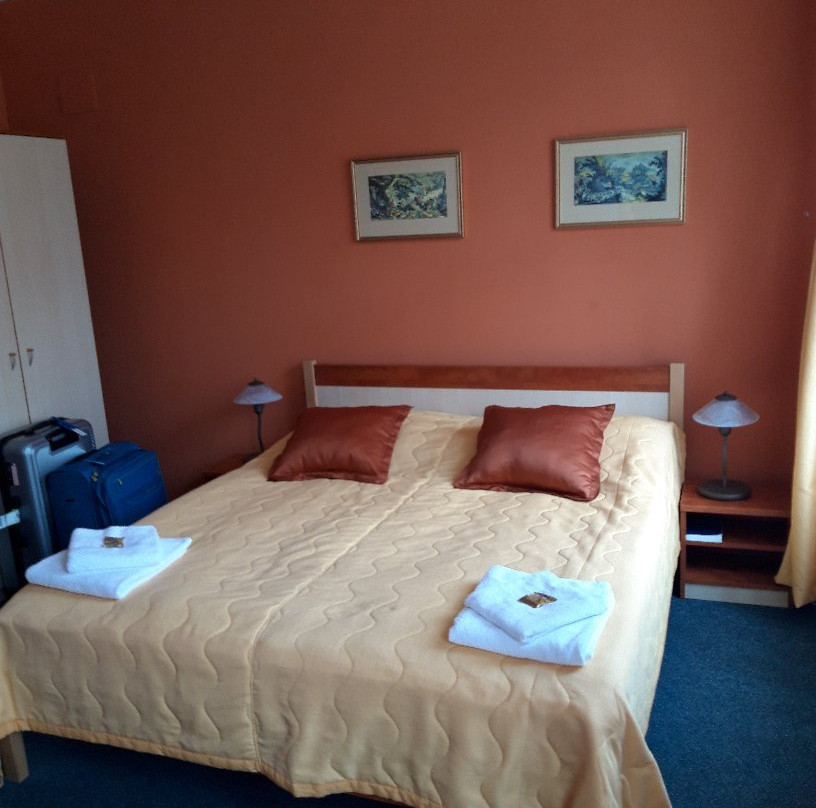 Hotel U Valdické brány主图