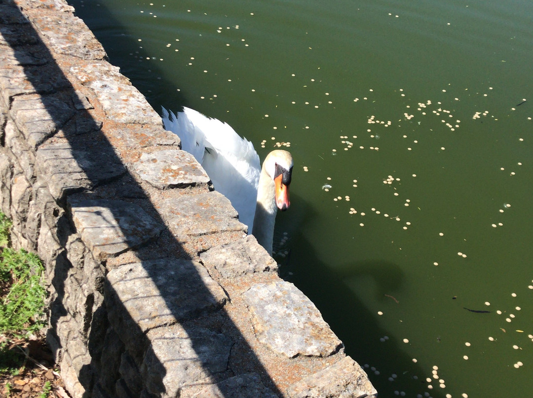 Riverside Park and Ralph Mitchell Zoo-Independence必去景点