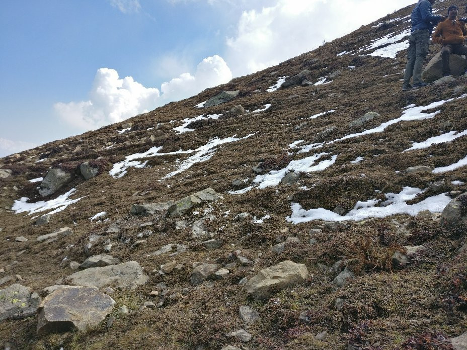 Gulmarg Meadows主图