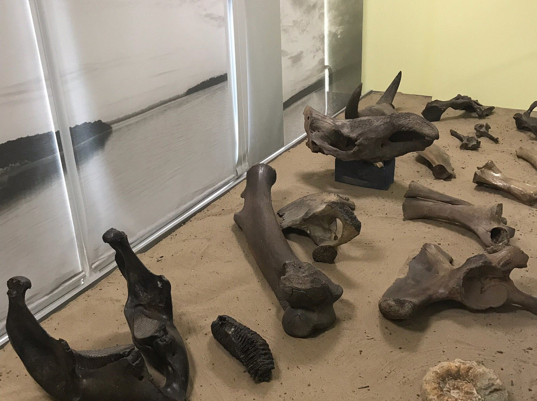 Nizhnevartovsk Museum of Local Lore-Nizhnevartovsk必去景点