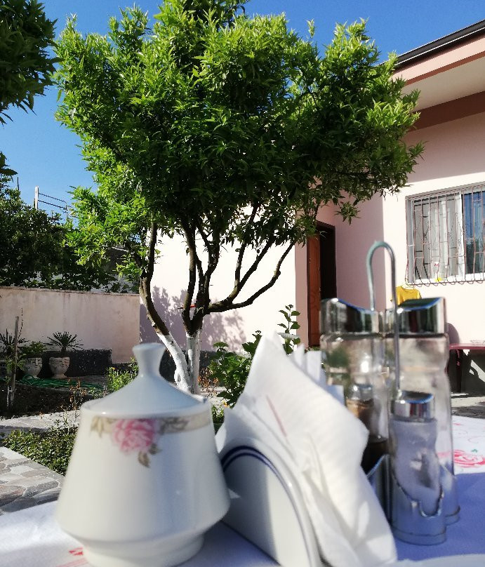 Vila Lili Guest House主图