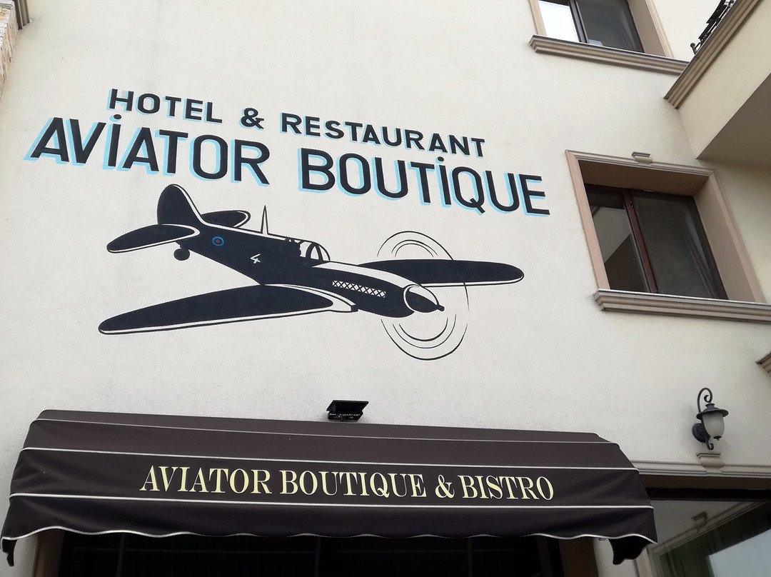 Aviator Boutique Hotel主图