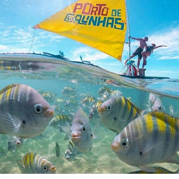 Arraial Passeios  Novotur-嘎林海斯港必去景点