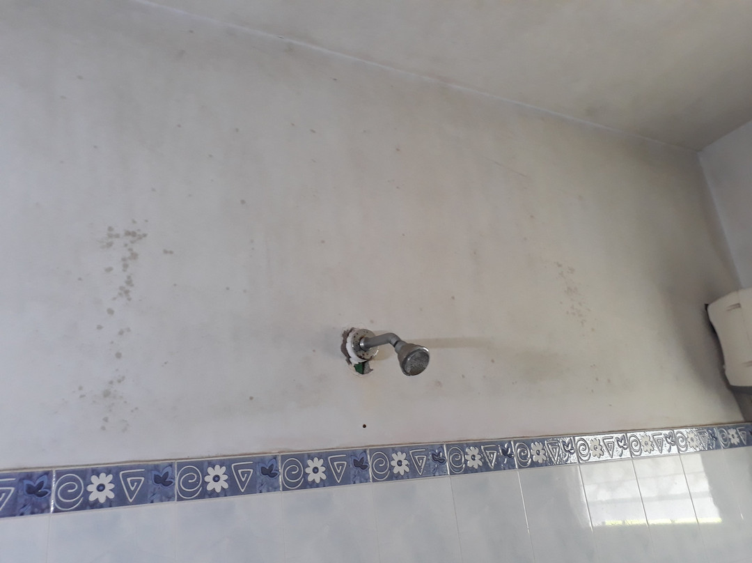 SDD Hotel Mili, New Digha主图