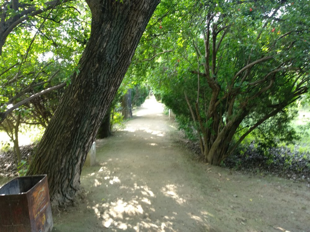 Kanhatti Garden-Khushab必去景点