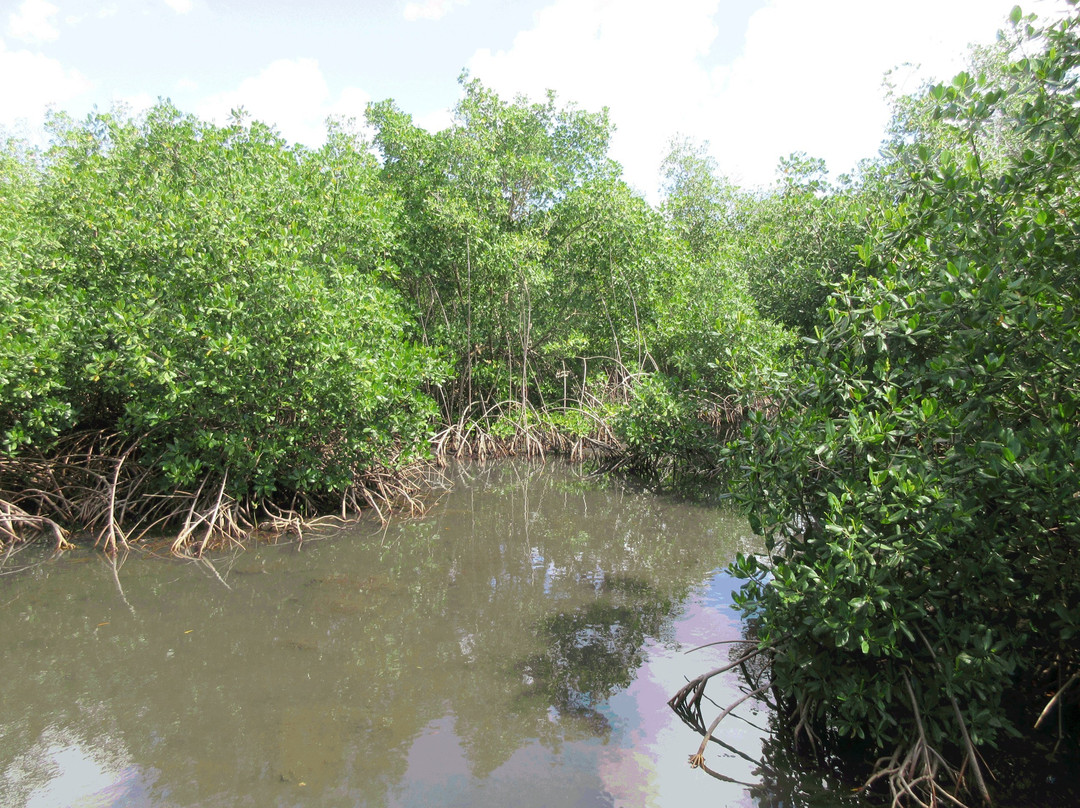 Les Marais de Port-Louis-Port-Louis必去景点