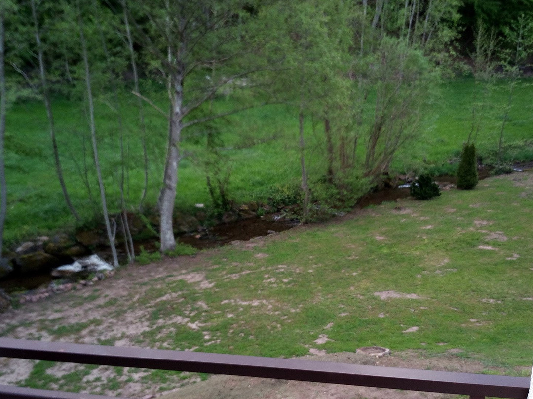 Gasthof Pension Krone主图