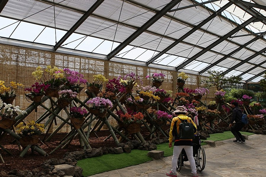 Hampyeong Expo Park - Natural Ecological Museum景点图片