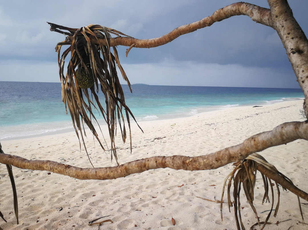 Lvis Blancura Hotel主图