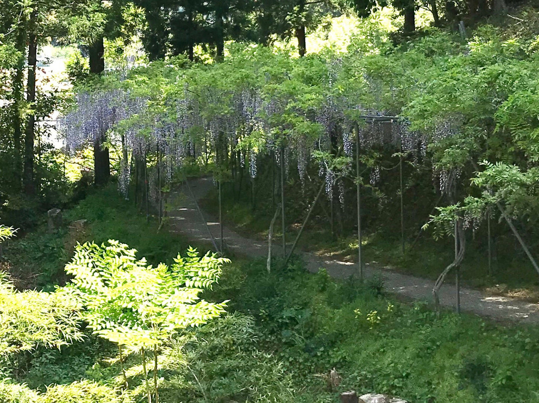 Miyama no Sato Shinrin Park-日高川町必去景点