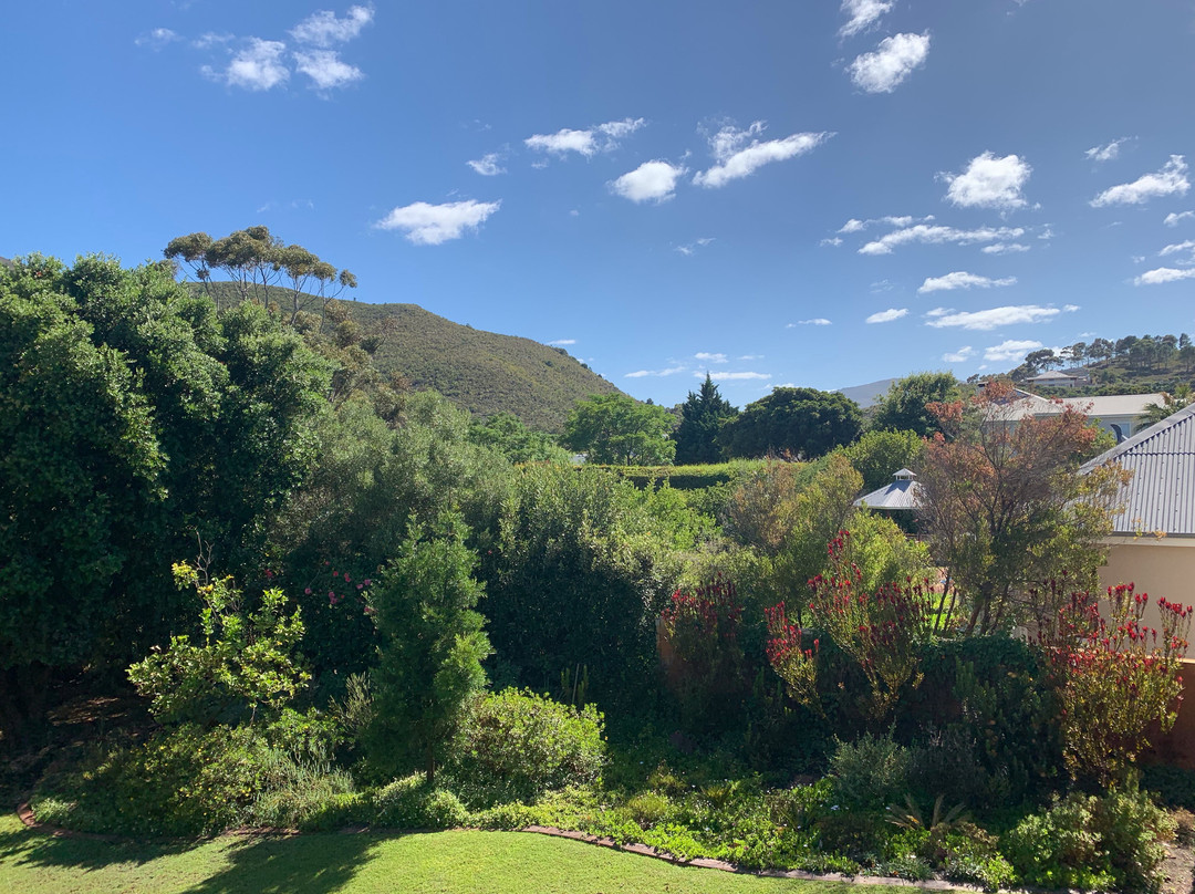 Robin's Nest Guest House主图