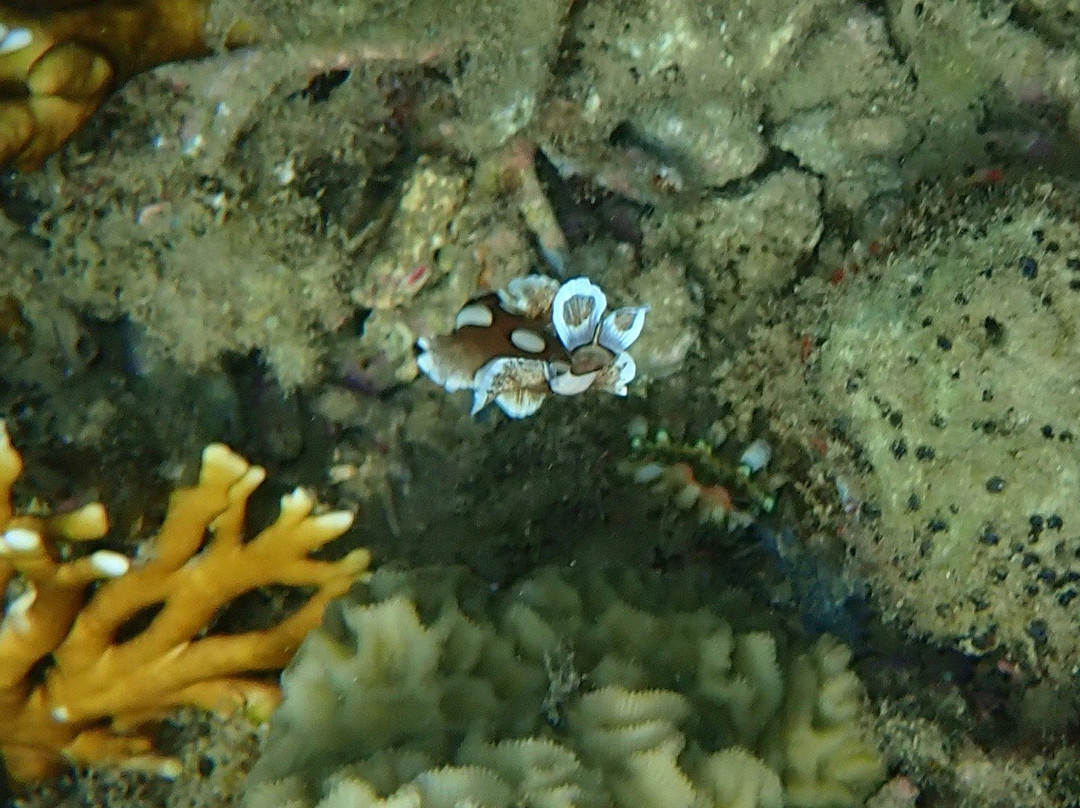 Indonesian Island Sail-Serangan必去景点
