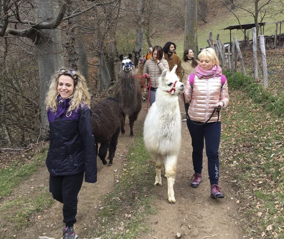 Passeggiata con i Lama-Blessagno必去景点