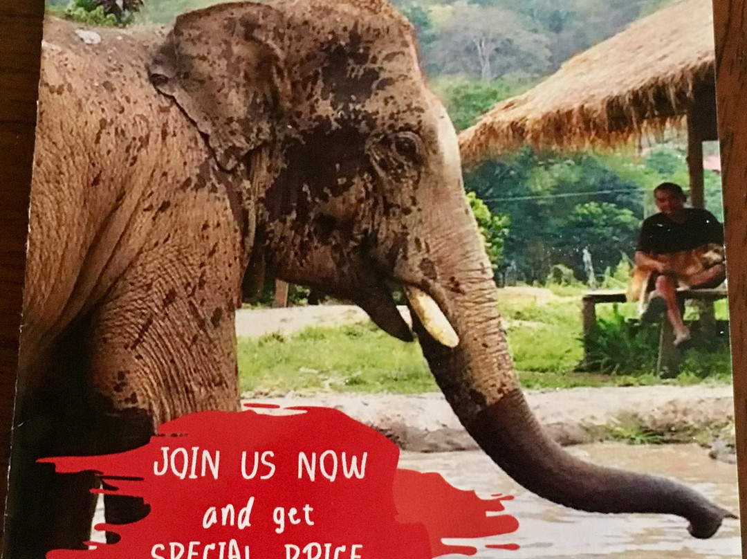 Elephant Care Samui-马叻必去景点