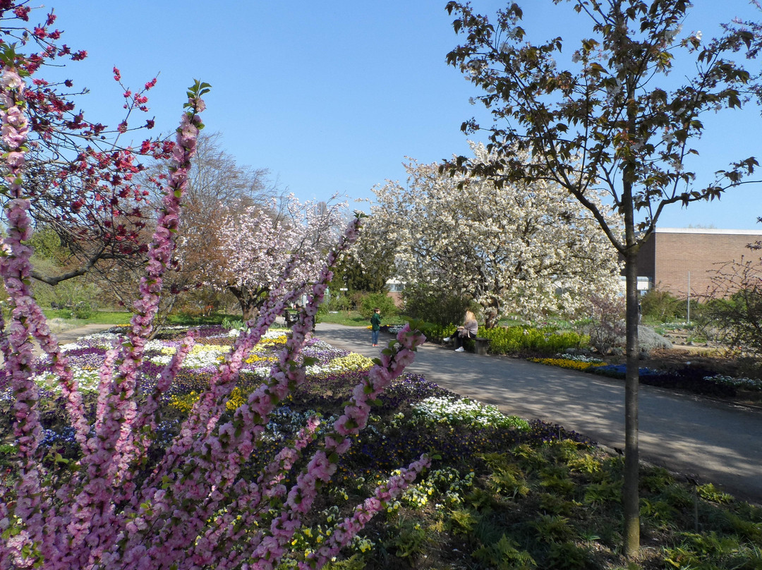 Botanischer Garten Mainz景点图片