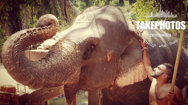 The Transporter-Pottuvil必去景点