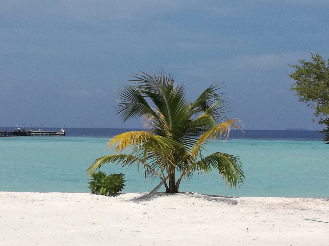 快乐岛度假村主图