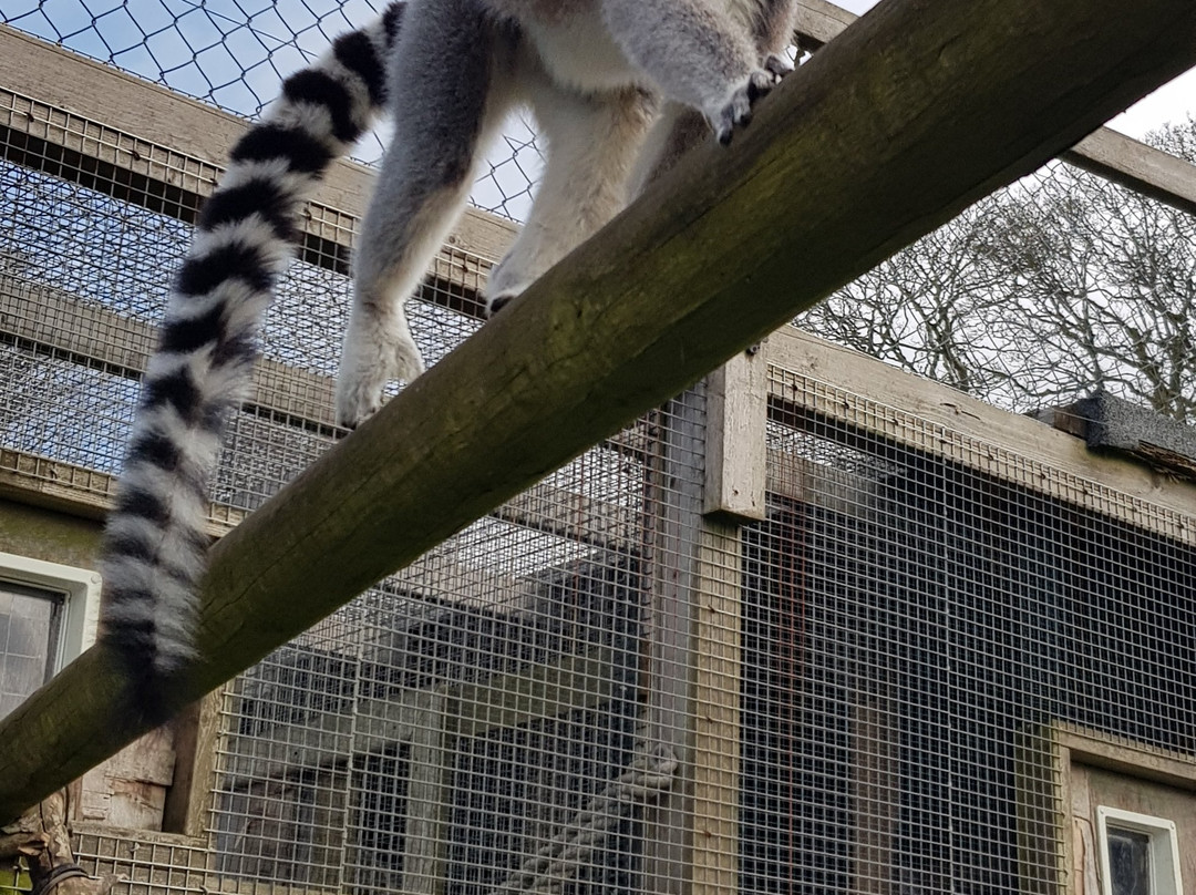 Longleat Estate景点图片