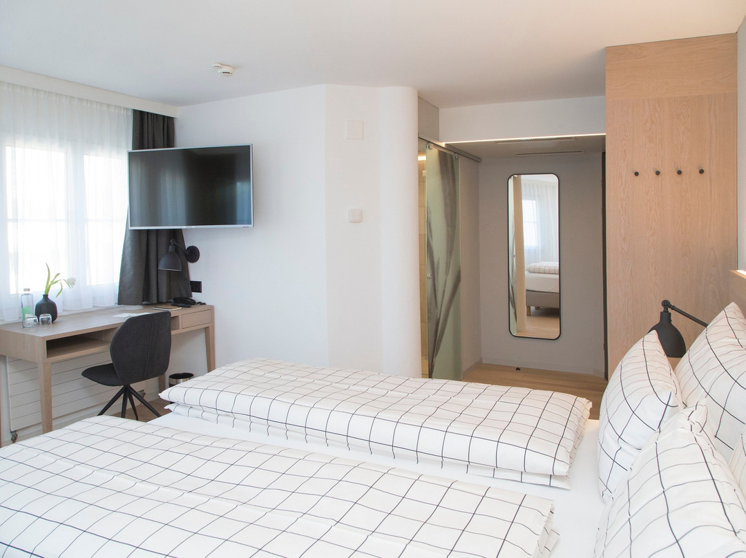 Business und Lifestylehotel Forum Widnau主图