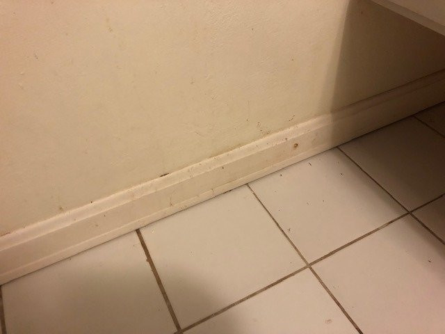 Aruba Beach Villas主图