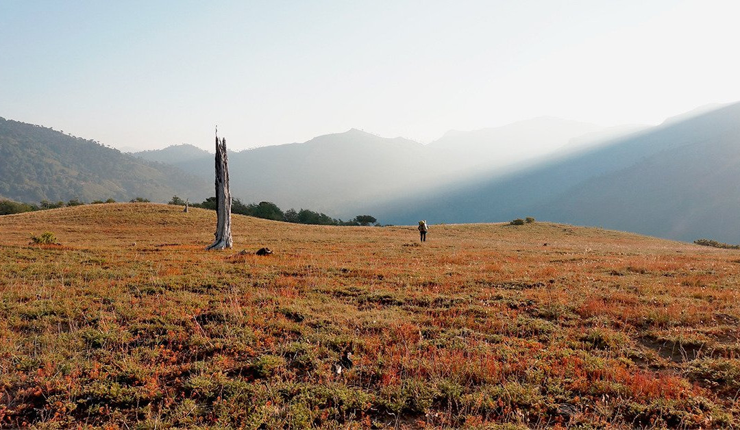 Endémiko Adventures-Malalcahuello必去景点