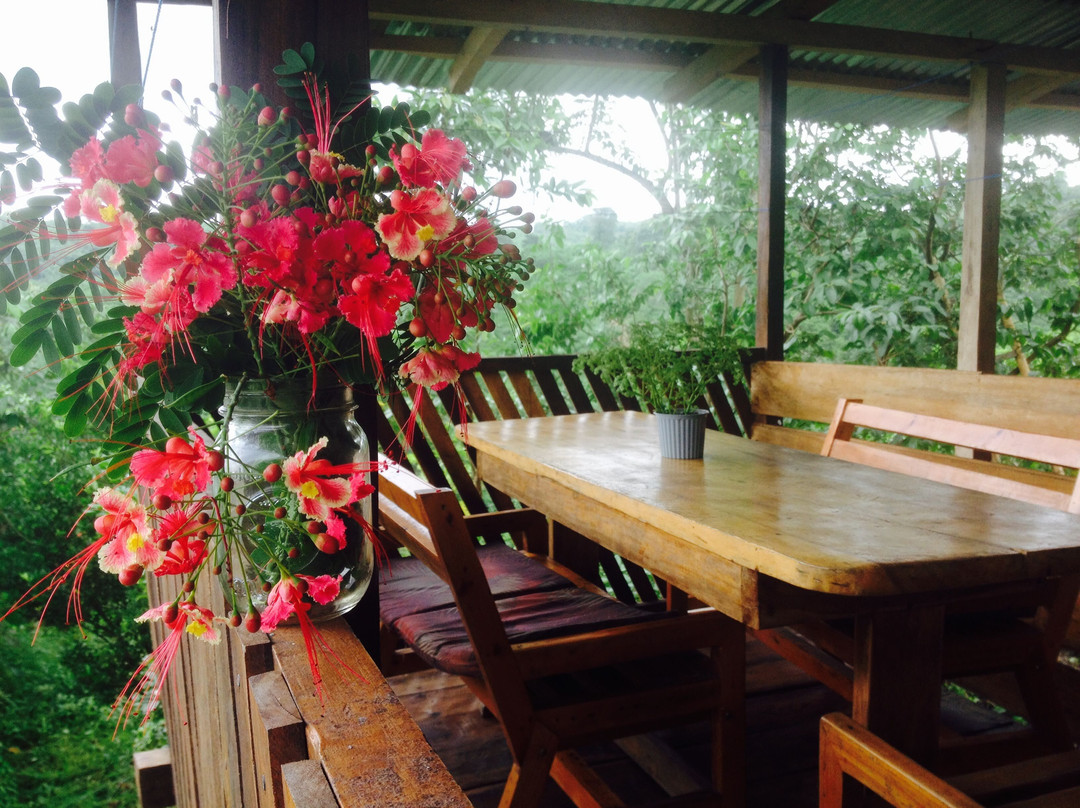 Finca Pinguino Farm-Canoa必去景点