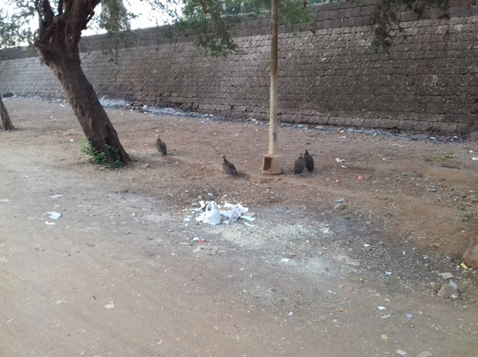 Fortaleza de Sao Jose da Amura-Bissau必去景点