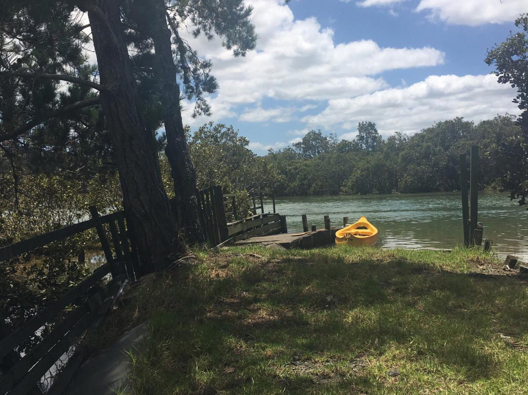 Puhoi River Kayak Hire Ltd Kayak Trips景点图片