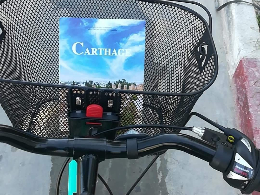 Le Lemon Tour-迦太基必去景点