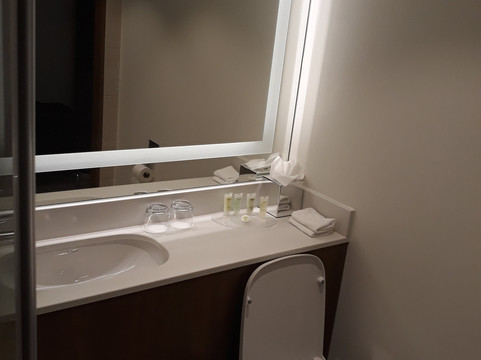 布鲁塞尔欧盟万怡酒店主图