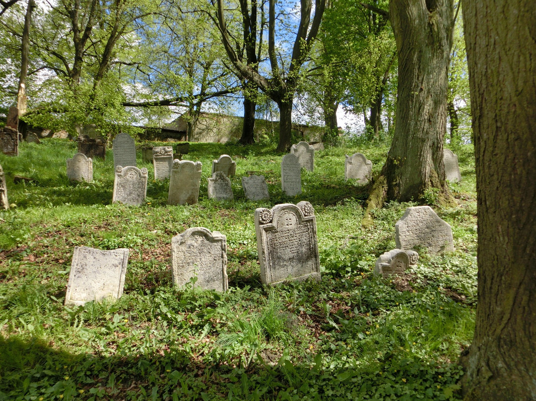 Židovský Hřbitov景点图片