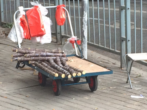 宝安公园-深圳市必去景点