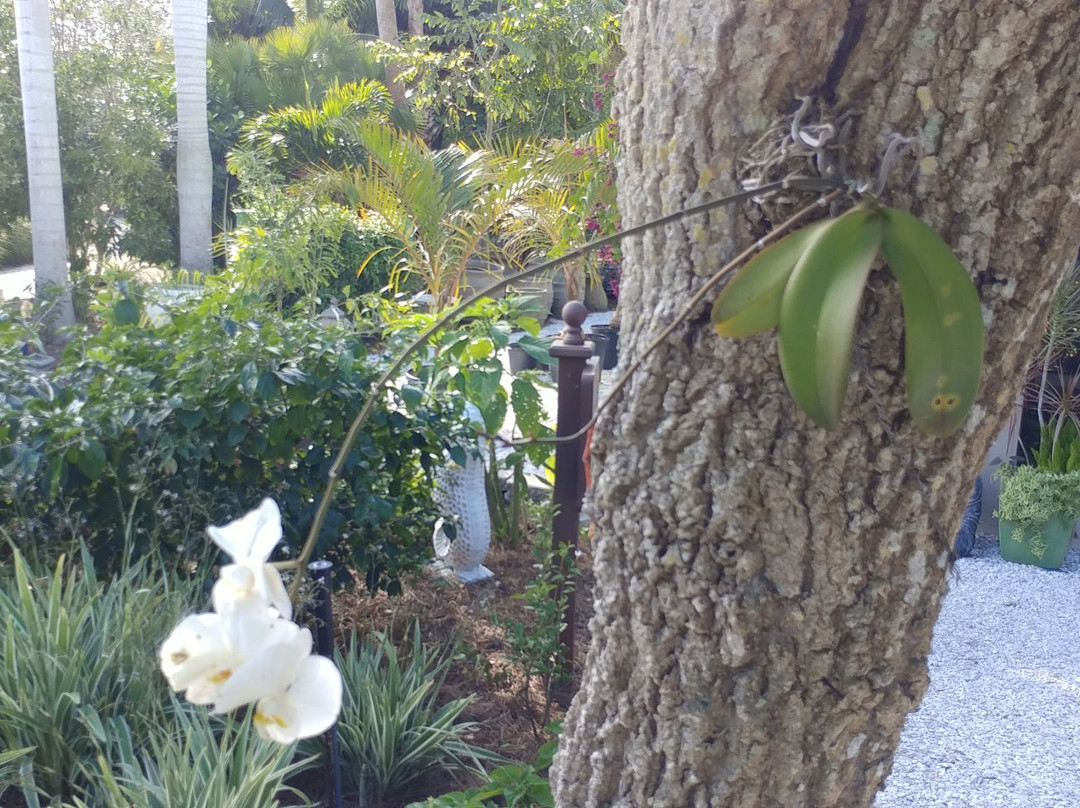 In The Garden景点图片