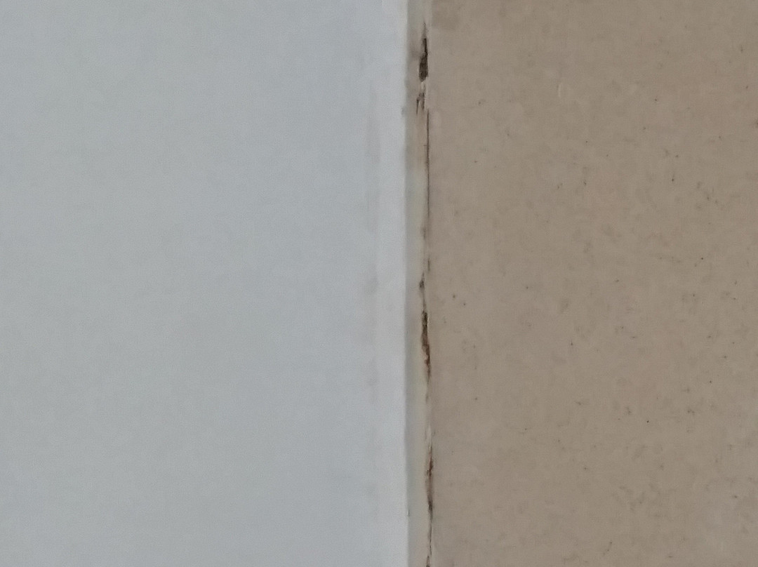 Super 8 by Wyndham Locust Grove主图