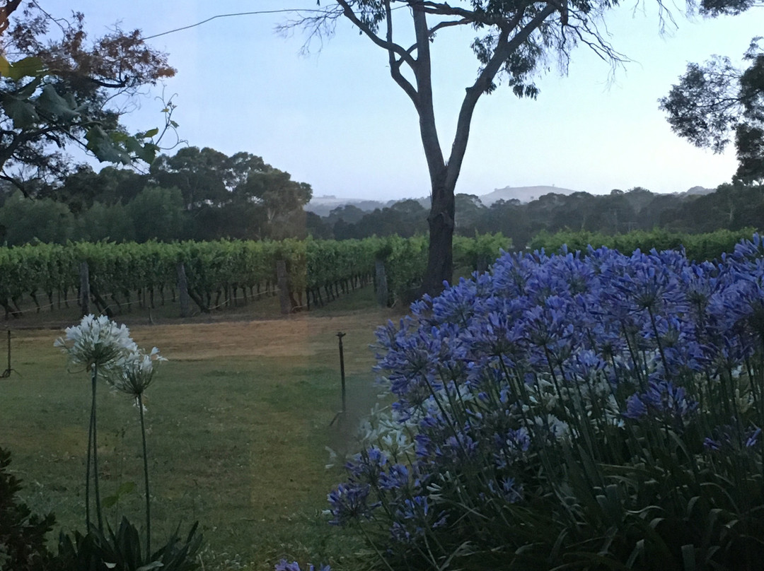 Gisborne Peak Winery-Gisborne必去景点