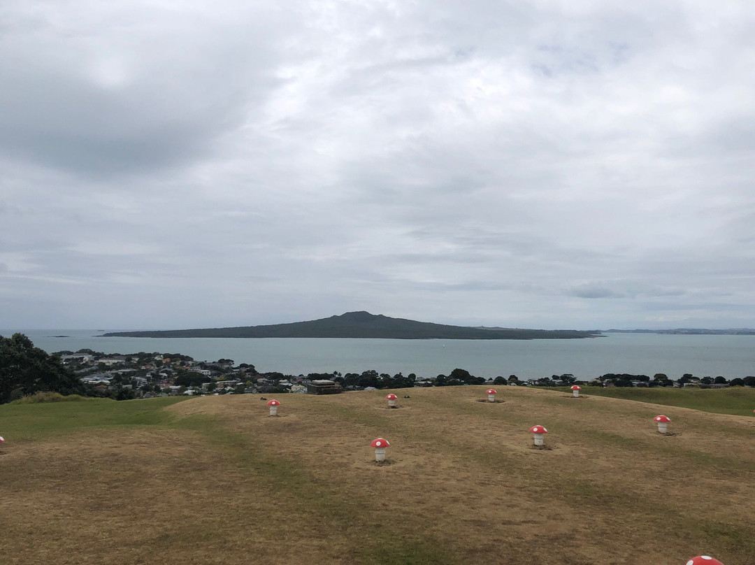 MagicBroomstick (Segway) Tours-德文波特必去景点