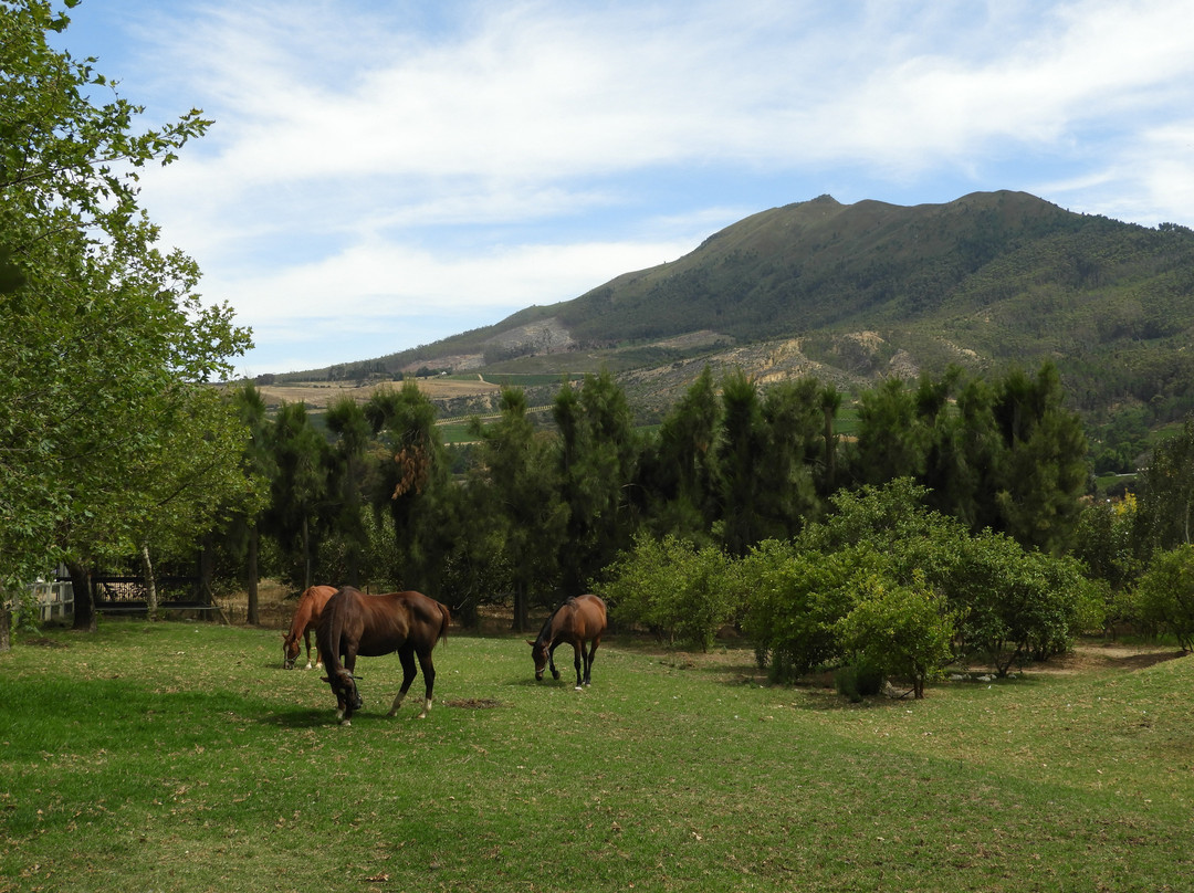 Dunstone Country Estate主图