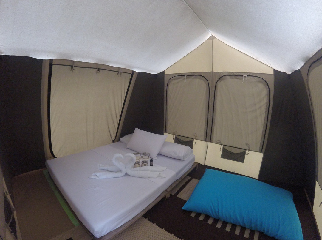 The Easy Adventure主图