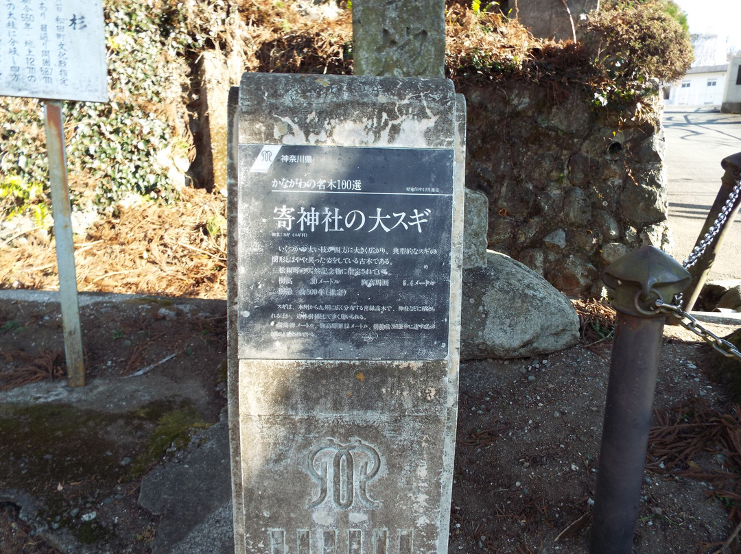 Yadoriki Shrine景点图片