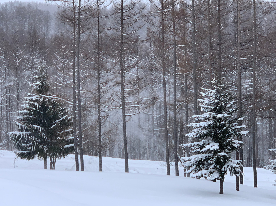 落叶松金山湖酒店主图