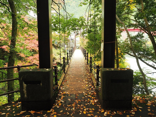 Hikawako Bridge-奥多摩町必去景点