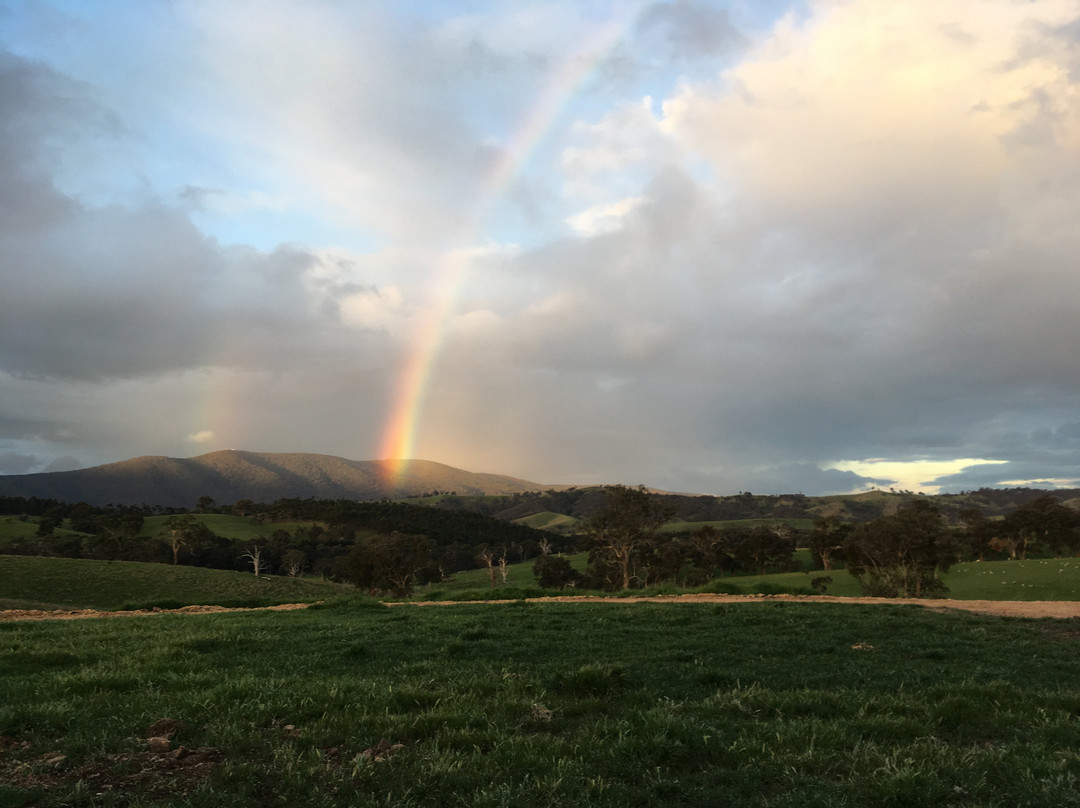 Wirraway Farm Stay主图