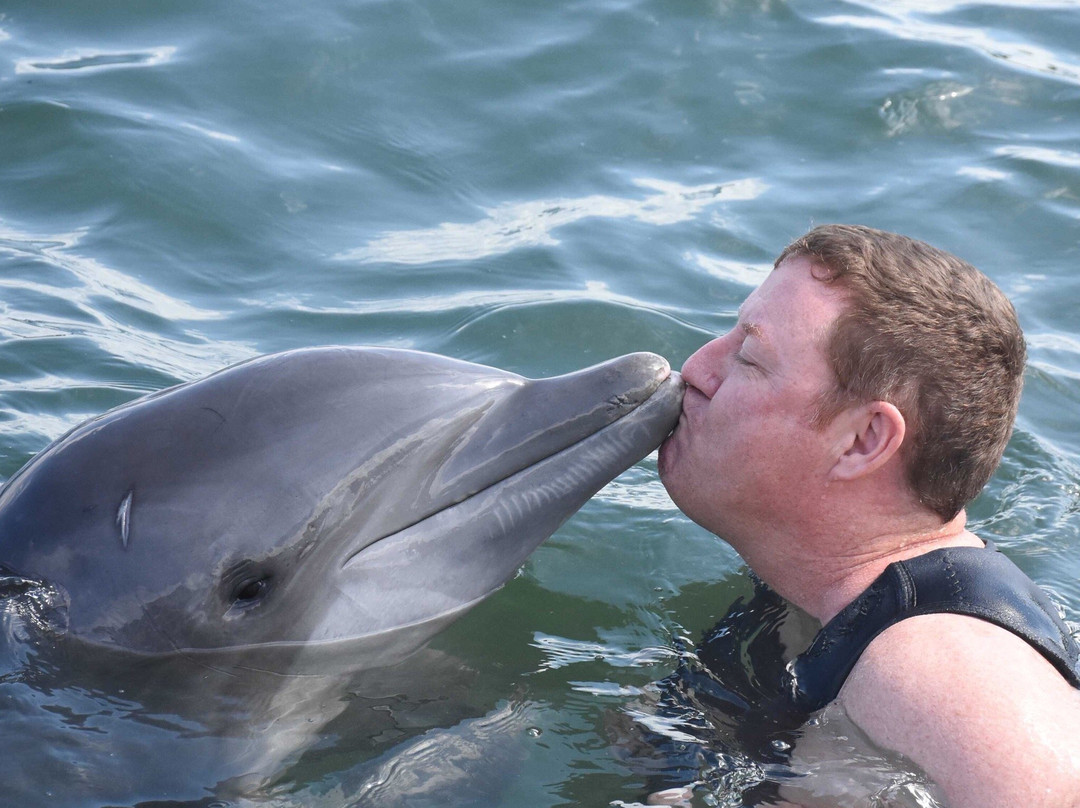 Dolphin Cove Cayman景点图片