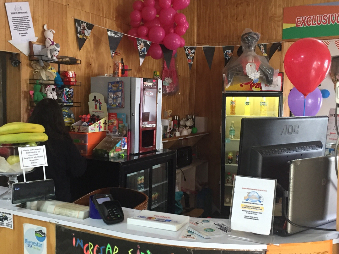 Villa Maniguales旅游景点-Plaza Patagonia