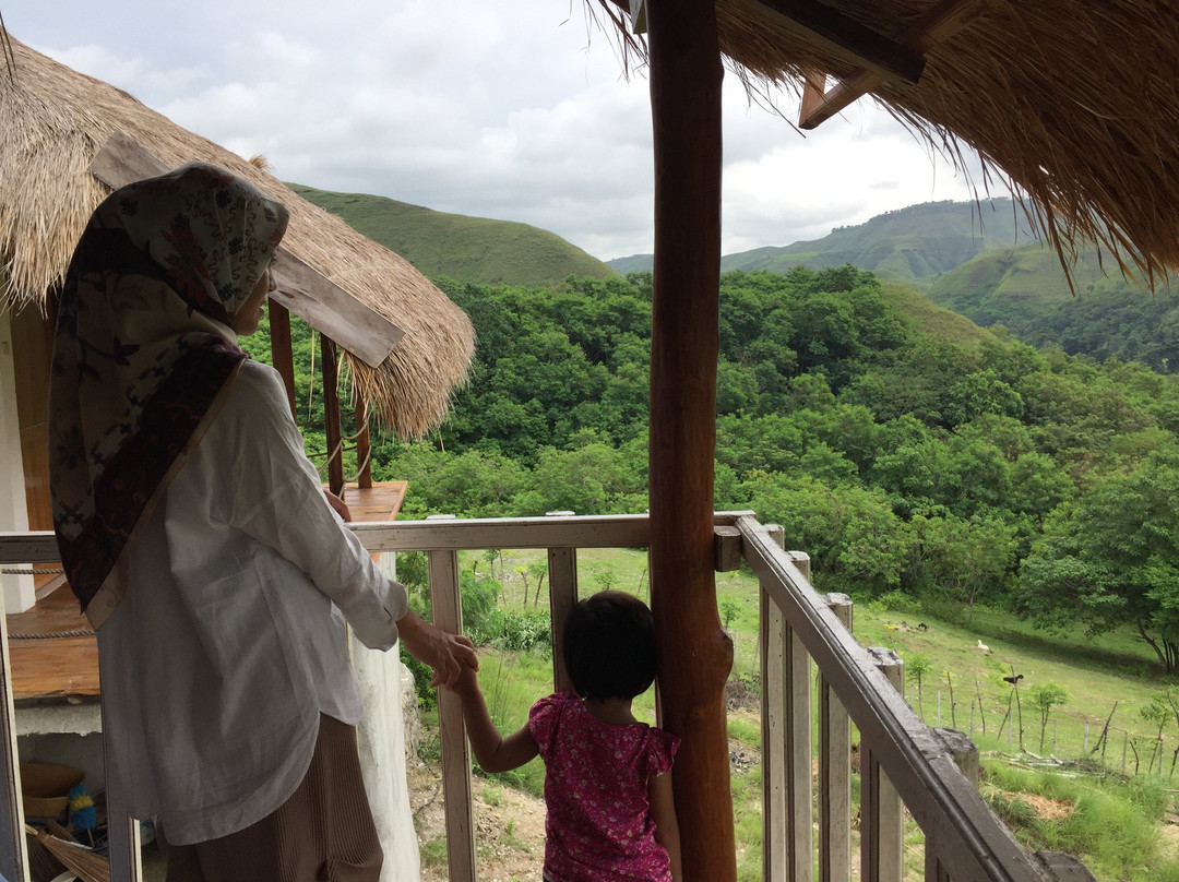 Morinda villa and Resto主图